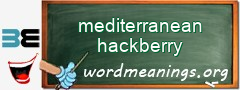WordMeaning blackboard for mediterranean hackberry